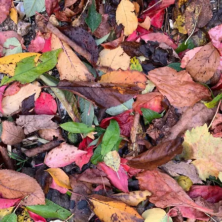 Eco Mezzanine Wifi Stationnement Rue Gratuit Terrasse Dans Jardin *