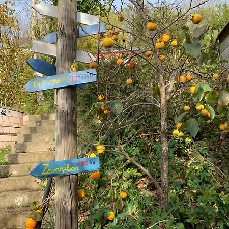 Casa vacanze Eco Mezzanine Wifi Stationnement Rue Gratuit Terrasse Dans Jardin Rouen