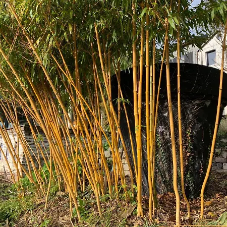 Eco Mezzanine Wifi Stationnement Rue Gratuit Terrasse Dans Jardin Casa vacanze