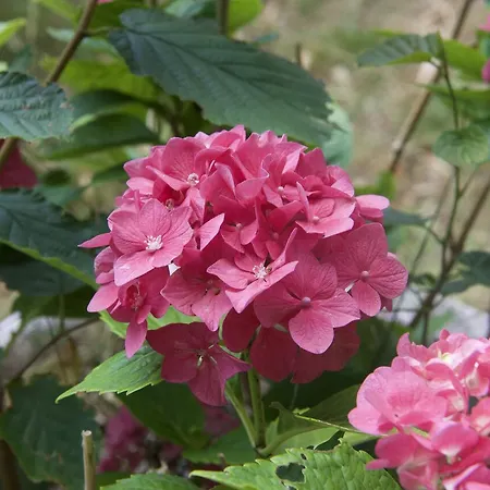 Eco Mezzanine Wifi Stationnement Rue Gratuit Terrasse Dans Jardin Casa vacanze Rouen