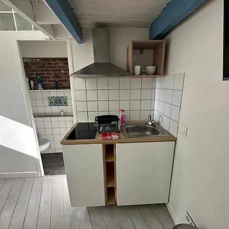 度假居 Eco Mezzanine Wifi Stationnement Rue Gratuit Terrasse Dans Jardin