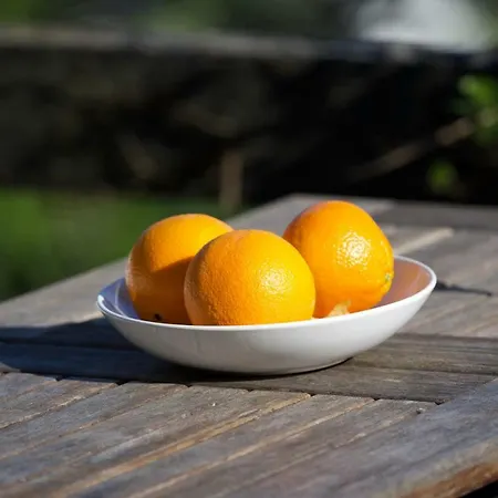 Eco Mezzanine Wifi Stationnement Rue Gratuit Terrasse Dans Jardin Casa vacanze *