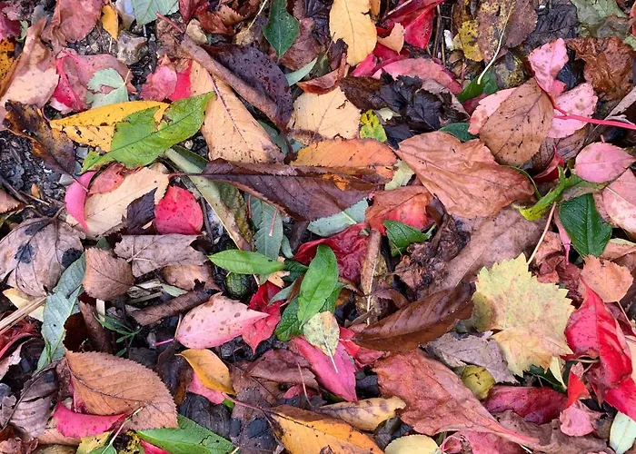 Eco Mezzanine Wifi Stationnement Rue Gratuit Terrasse Dans Jardin *