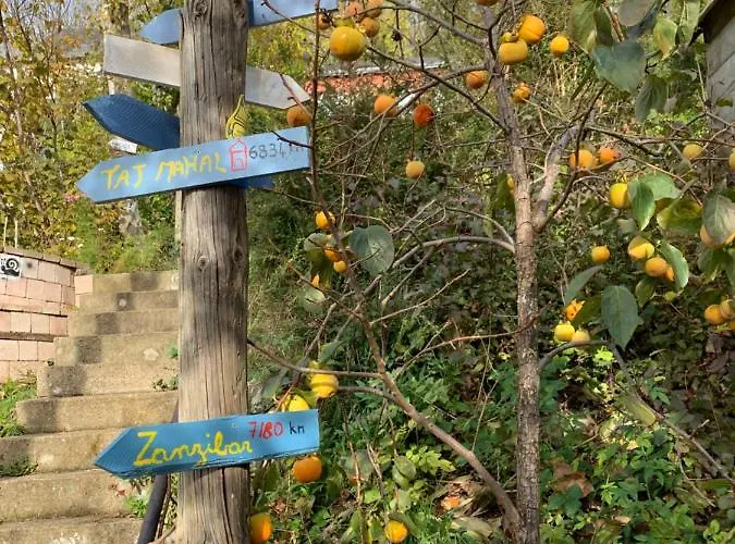 度假居 Eco Mezzanine Wifi Stationnement Rue Gratuit Terrasse Dans Jardin 鲁昂