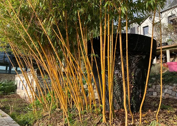 Eco Mezzanine Wifi Stationnement Rue Gratuit Terrasse Dans Jardin 度假居