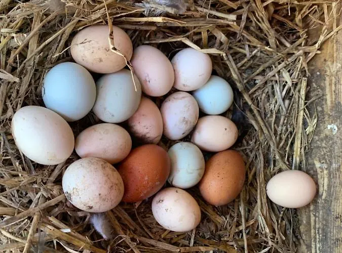 度假居 Eco Mezzanine Wifi Stationnement Rue Gratuit Terrasse Dans Jardin 鲁昂