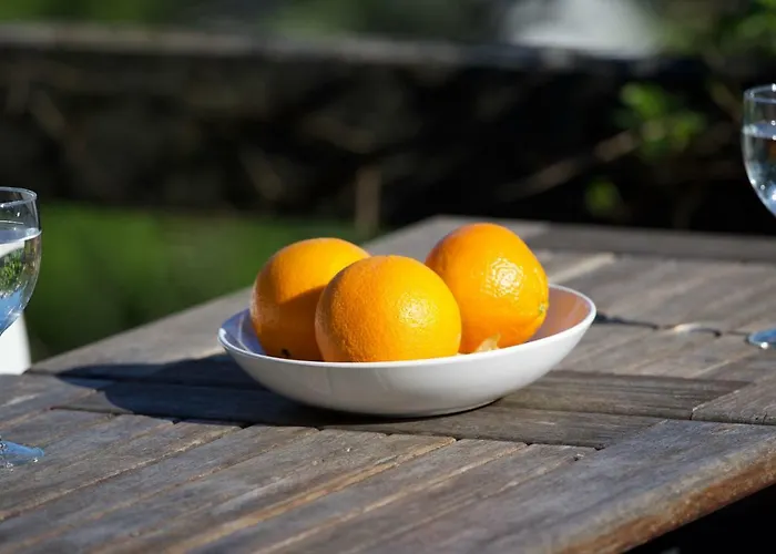 Eco Mezzanine Wifi Stationnement Rue Gratuit Terrasse Dans Jardin 度假居 *